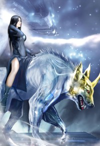 霸王神枪